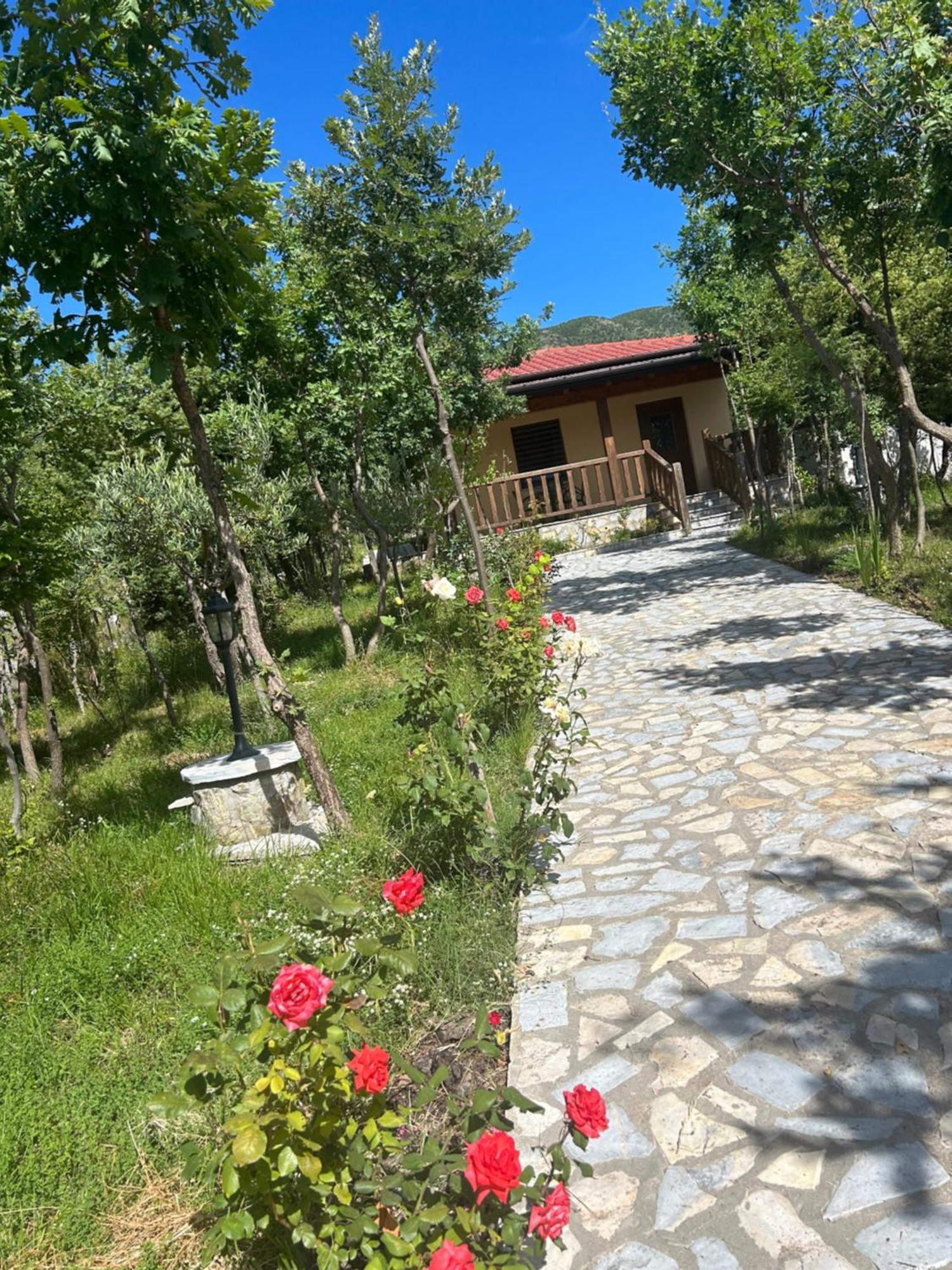 Hani I Leks Agroturizem Lezhe Exterior photo
